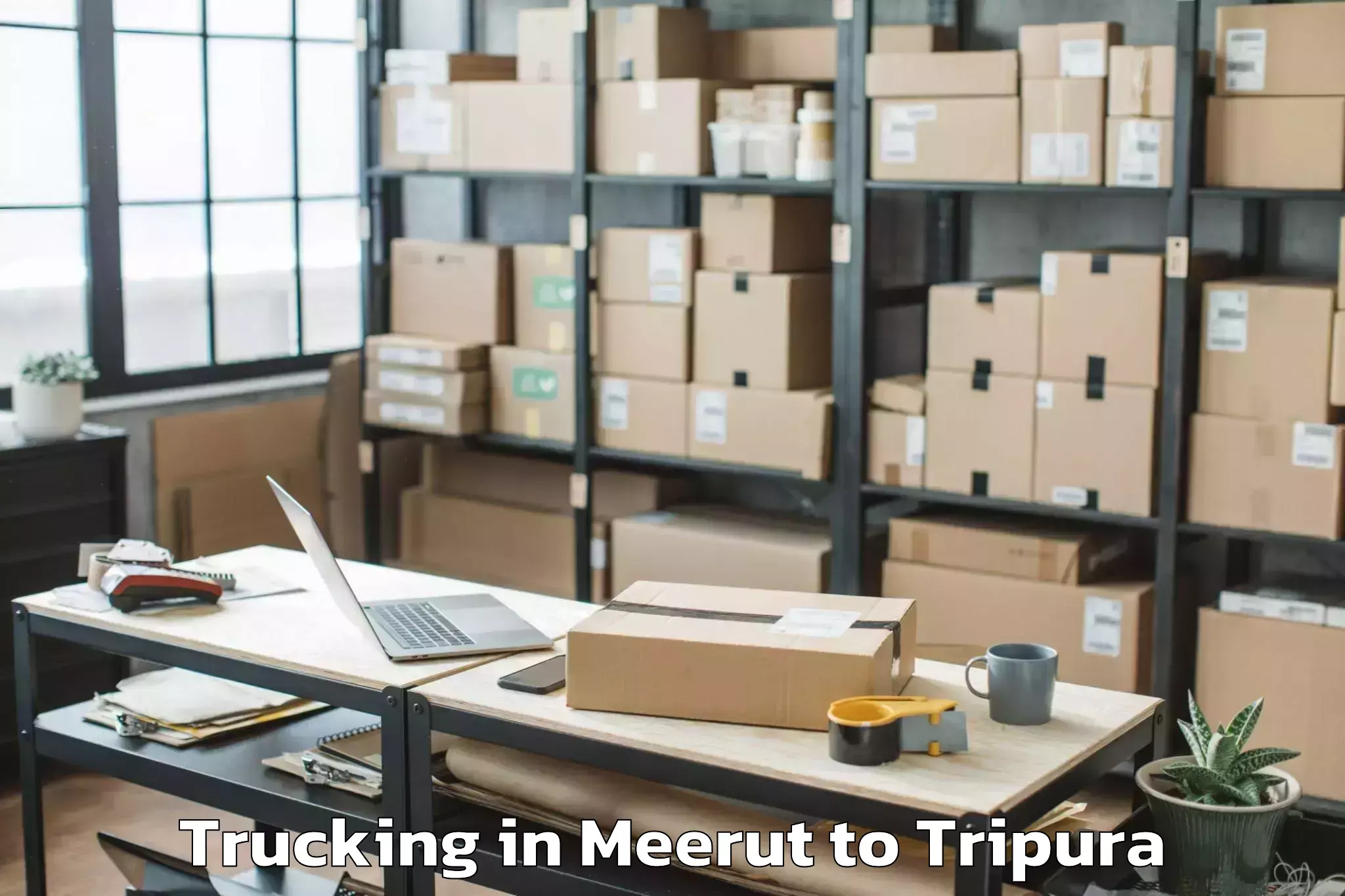 Book Meerut to Rupaichhari Trucking